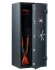 Оружейный сейф TIGER 70 купить в Сургуте