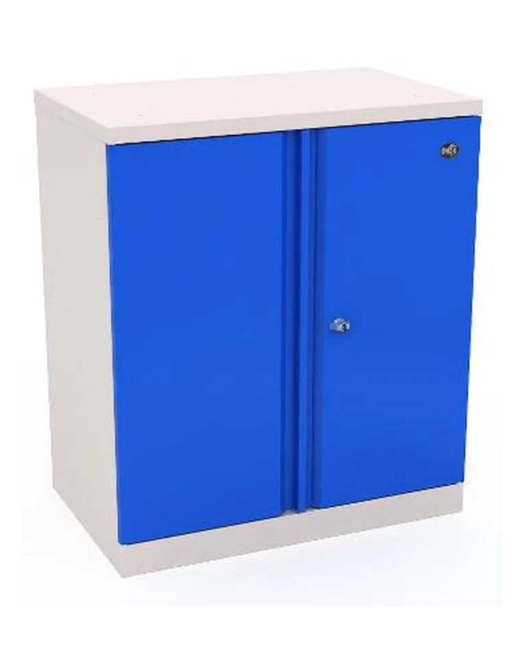 Шкаф инструментальный ERGO 181/2 №2 купить в Сургуте