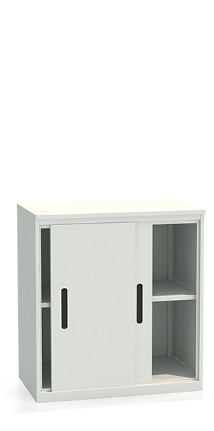 Шкаф-купе архивный ALS-8896 купить в Сургуте Шкаф-купе архивный ALS-8896 купить в Сургуте