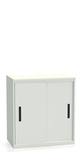 Шкаф-купе архивный ALS-8896 купить в Сургуте Шкаф-купе архивный ALS-8896 купить в Сургуте